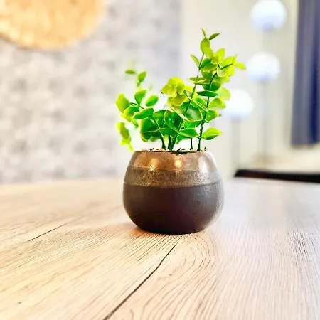 Centre - - Le Vauban - Lumineux - Centre - Proche Boutiques Et Restaurants アパート *