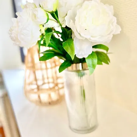 Centre - - Le Vauban - Lumineux - Centre - Proche Boutiques Et Restaurants アパート *