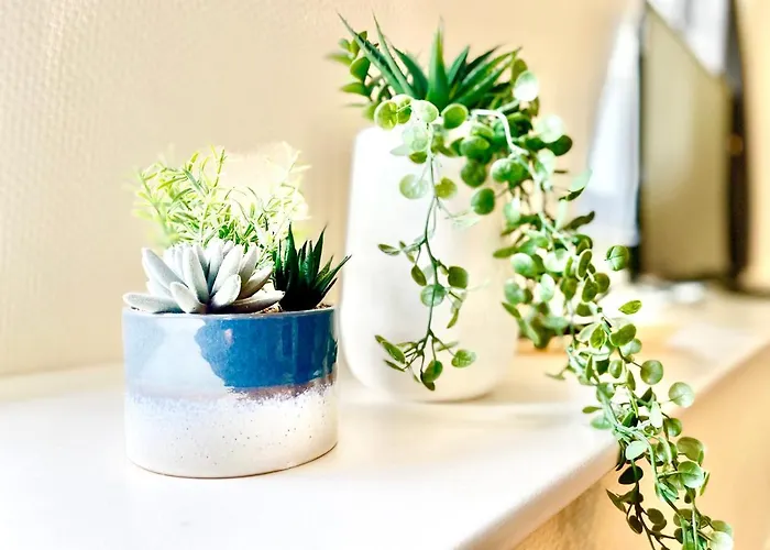 Appartement Centre - - Le Vauban - Lumineux - Centre - Proche Boutiques Et Restaurants *